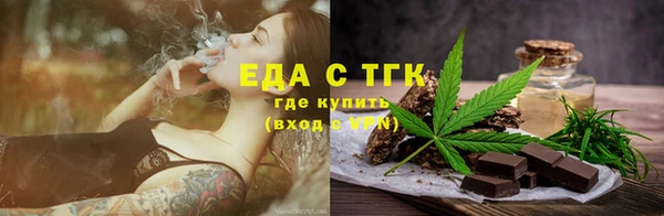 PSILOCYBIN Ельня