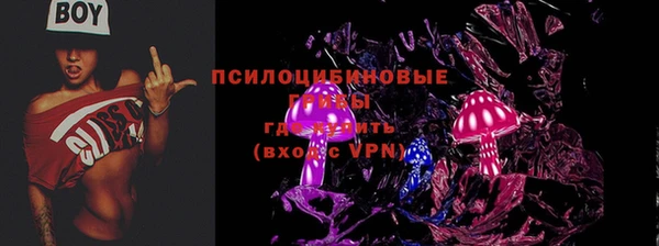 СК Елизово