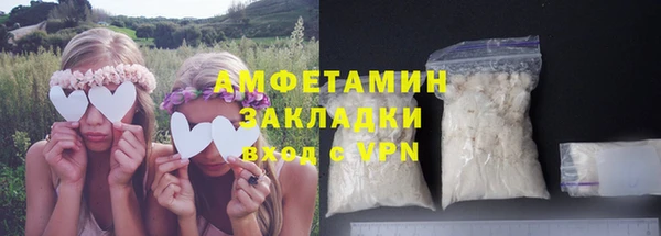 СК Елизово