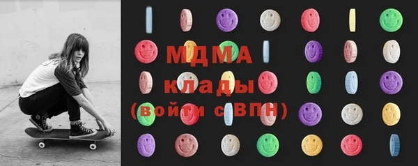 PSILOCYBIN Ельня