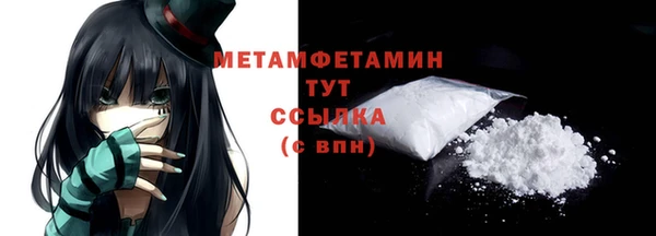 PSILOCYBIN Ельня