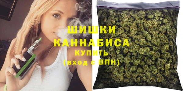 СК Елизово