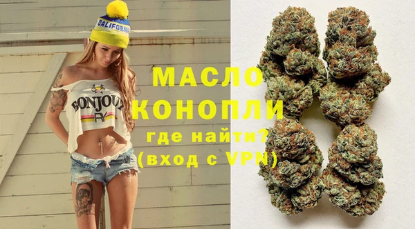 PSILOCYBIN Ельня