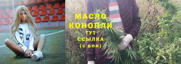 PSILOCYBIN Ельня