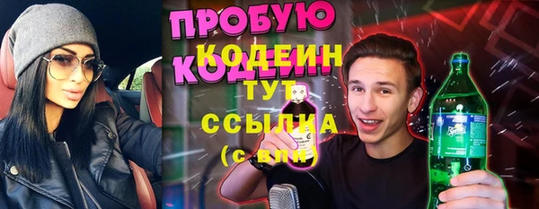 PSILOCYBIN Ельня