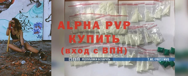 PSILOCYBIN Ельня