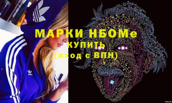 PSILOCYBIN Ельня