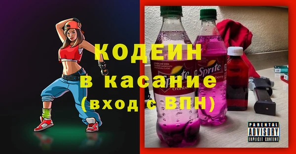 PSILOCYBIN Ельня