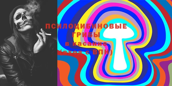 PSILOCYBIN Ельня
