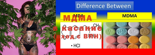 СК Елизово